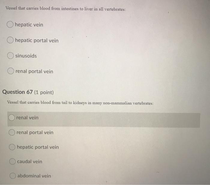 Solved Vessel That Carries Blood From Intestines To Liver Chegg Com