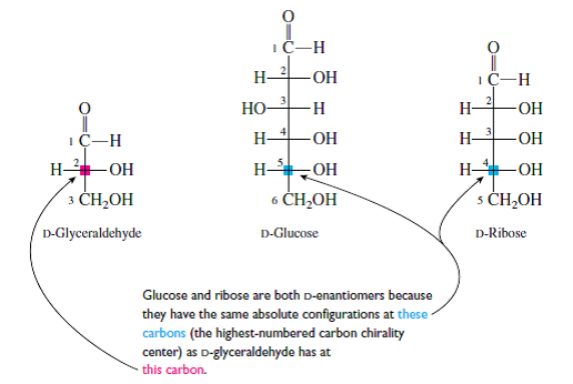 Solved: Identify all of the D-aldopentoses from Figure 25.1 that ...