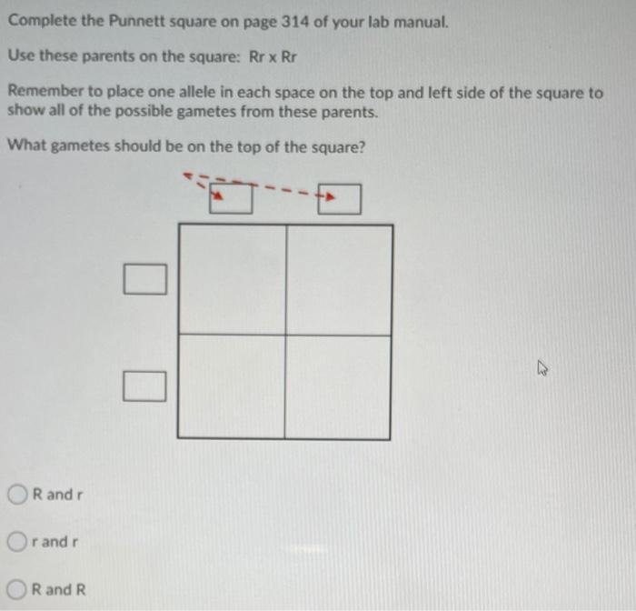 Solved Complete the Punnett square on page 314 of your lab | Chegg.com