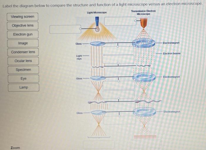 electron microscope with labels