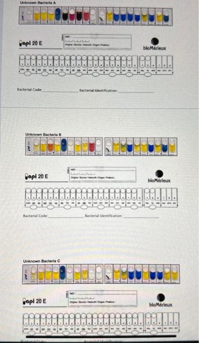 Eacterial Code: Bacterial ldentification: | Chegg.com