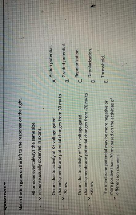Solved QUESTION 2 Match the option on the left to those on | Chegg.com