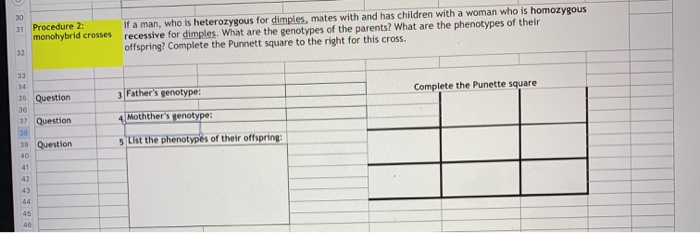 Solved If a man, who is heterozygous for dimples, mates with | Chegg.com
