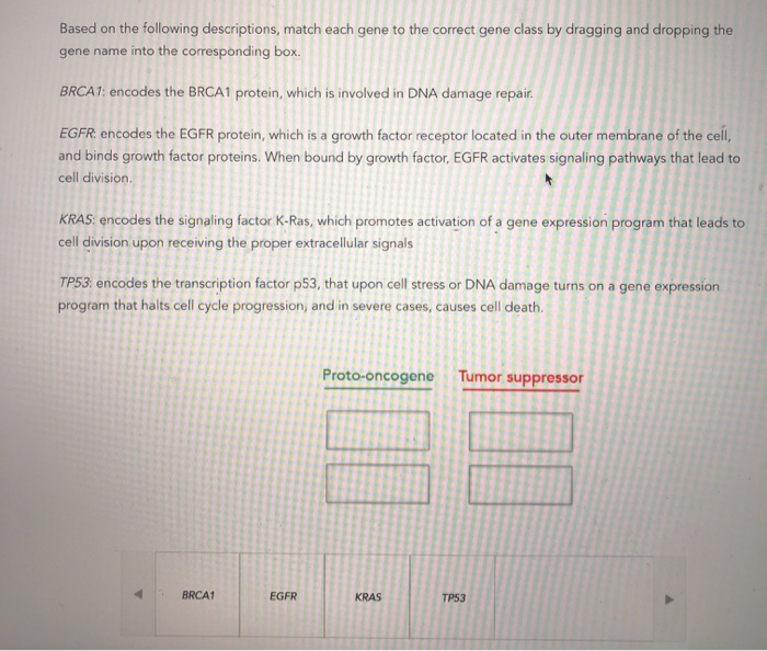 solved-based-on-the-following-descriptions-match-each-gene-chegg