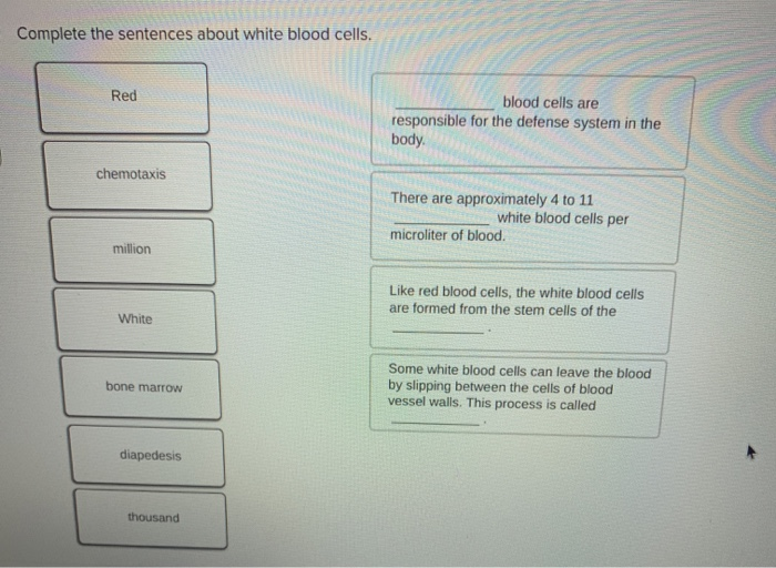 Solved Complete the sentences about white blood cells. Red | Chegg.com