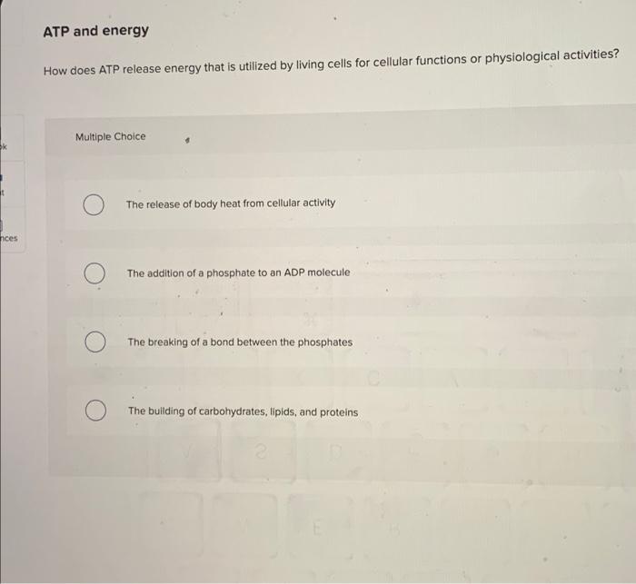 solved-atp-and-energy-how-does-atp-release-energy-that-is-chegg