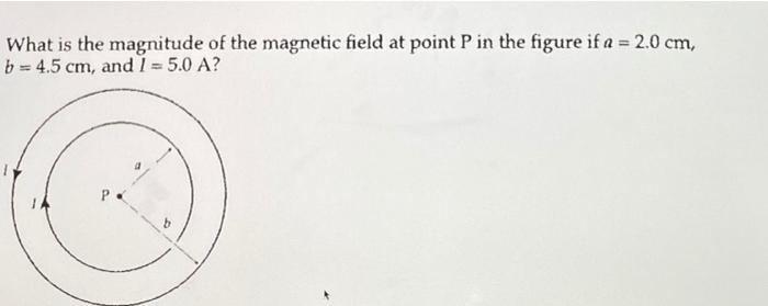 Solved What is the magnitude of the magnetic field at point | Chegg.com