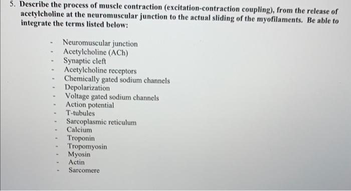 Solved 5. Describe the process of muscle contraction | Chegg.com