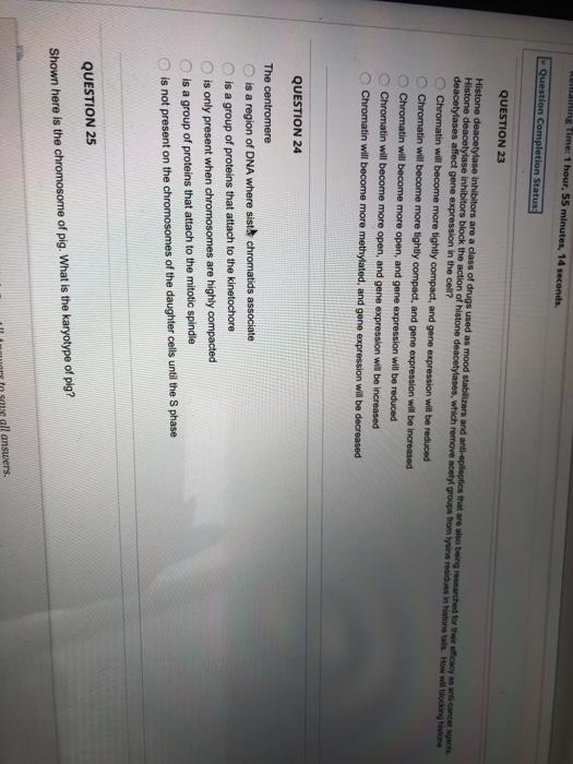 Solved Completion Status: QUESTION 21 Based on the gene and | Chegg.com
