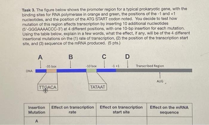 Solved Task 3. The figure below shows the promoter region | Chegg.com