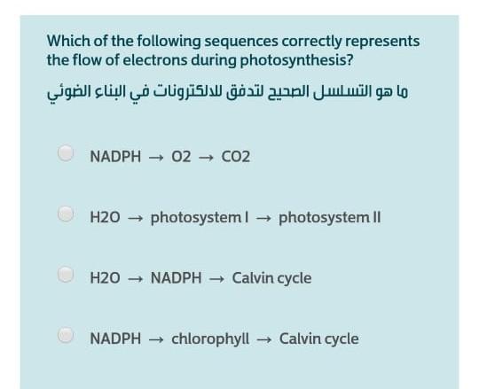 Solved Which Of The Following Sequences Correctly Represents | Chegg.com