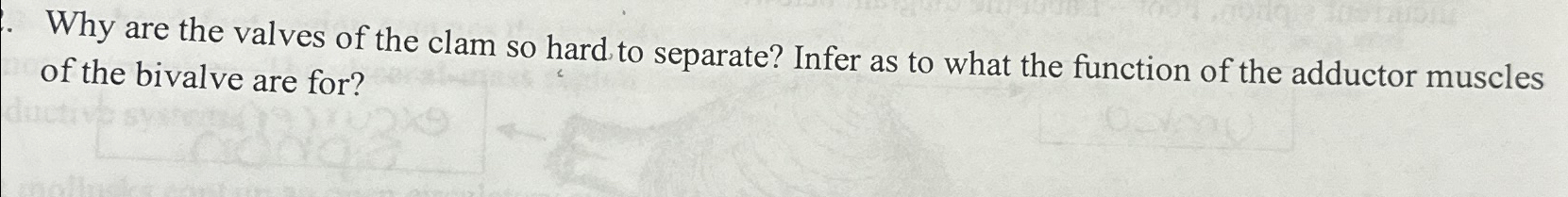 Solved Why are the valves of the clam so hard to separate? | Chegg.com