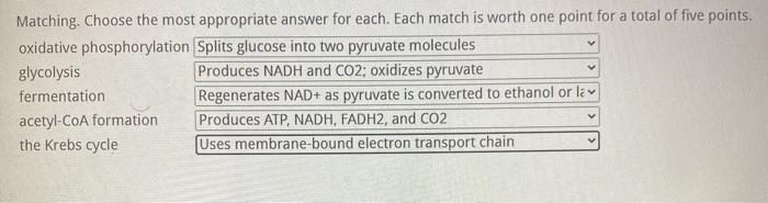 Solved Matching. Choose the most appropriate answer for | Chegg.com