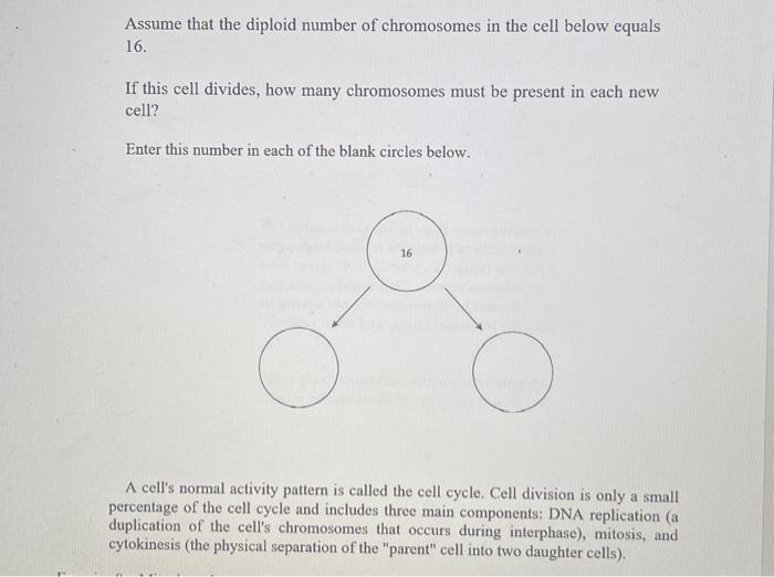Solved Assume that the diploid number of chromosomes in the | Chegg.com