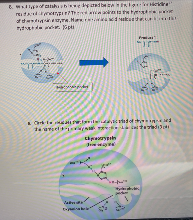 Solved This Is A Biochemistry Question. Please Answer All | Chegg.com