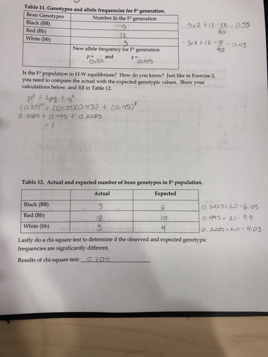 Solved Hardy Weinberg Theorem1 What Do You Expect To Happen Chegg Com<script async src=
