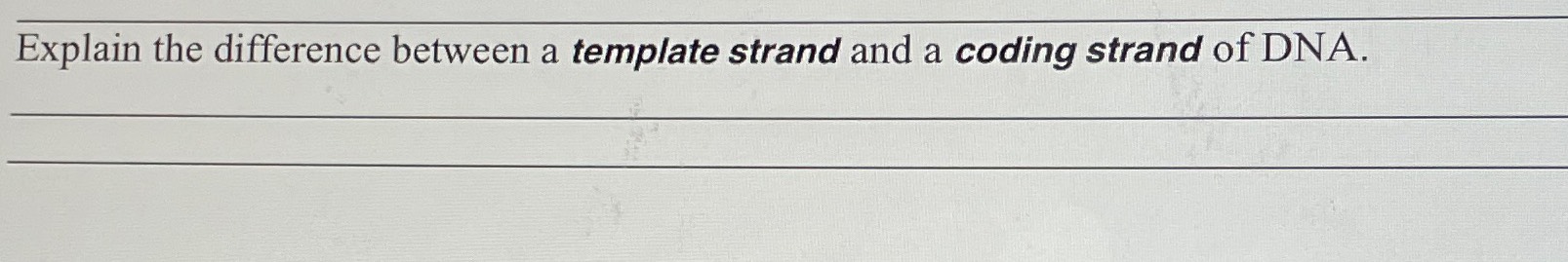 Solved Explain the difference between a template strand and | Chegg.com