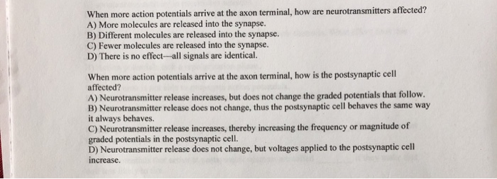 Solved When more action potentials arrive at the axon | Chegg.com