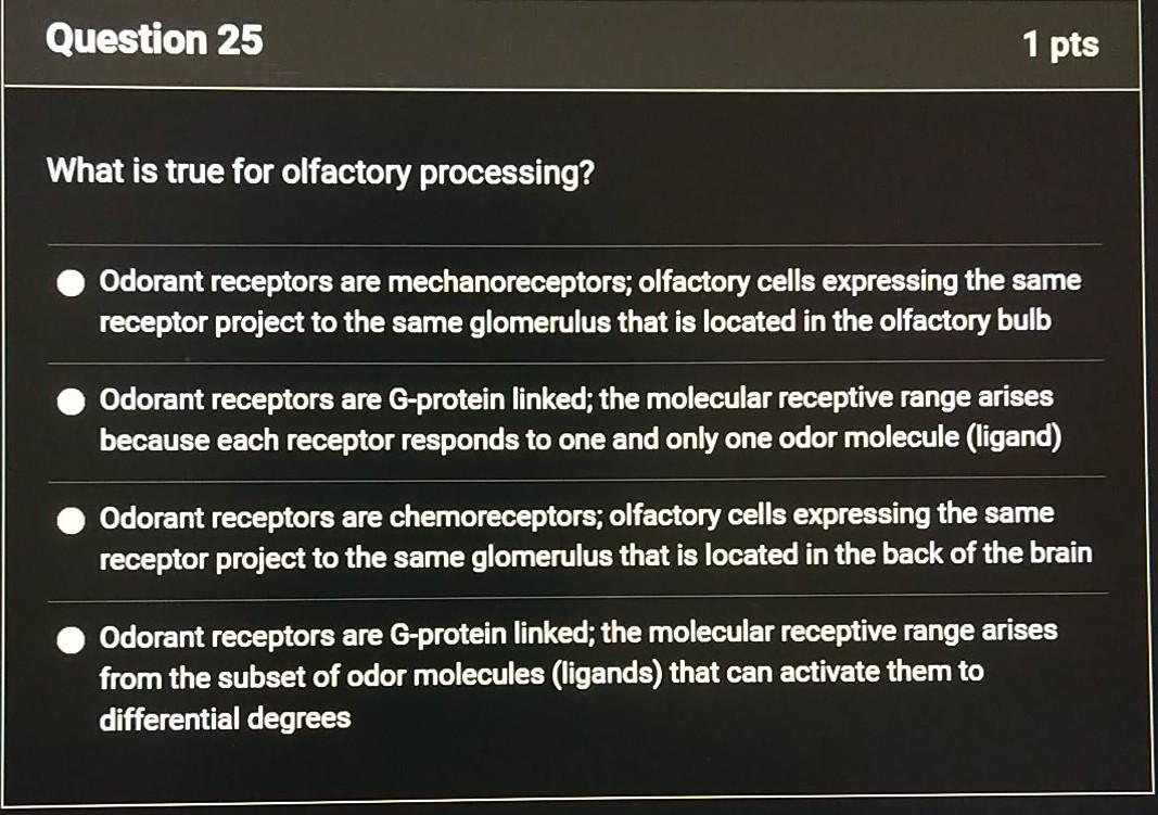 Question 25 1 pts What is true for olfactory processing? Odorant receptors are mechanoreceptors; olfactory cells expressing t