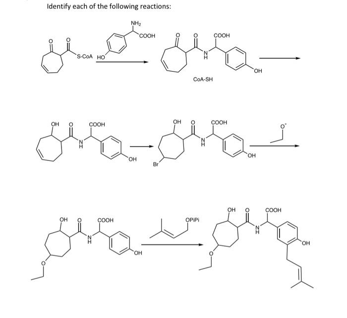 Identify each of the following reactions: CoA-SH | Chegg.com