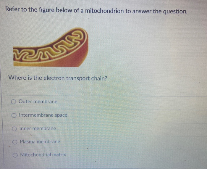 Solved Refer to the figure below of a mitochondrion to | Chegg.com