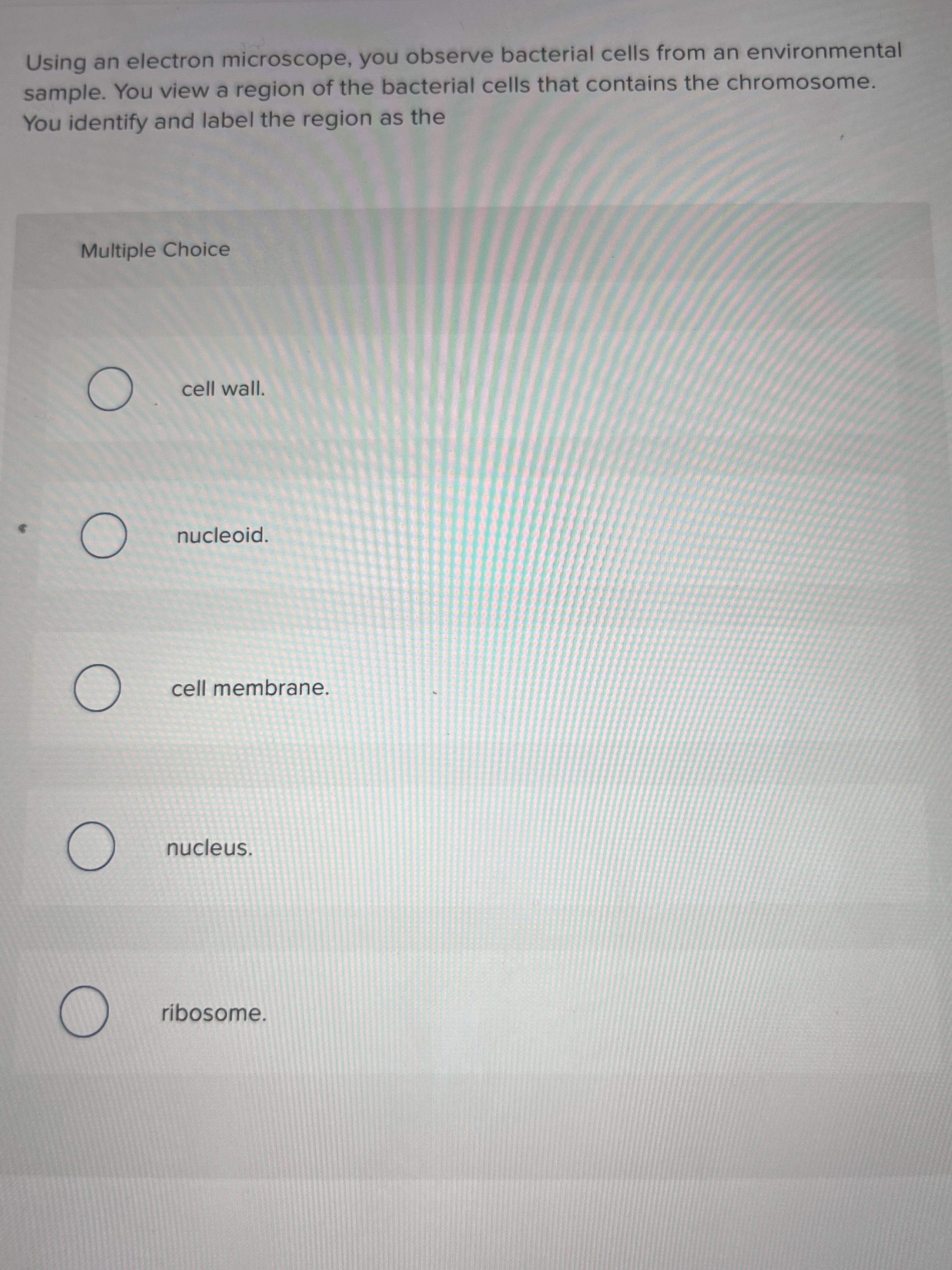 Solved Using an electron microscope, you observe bacterial