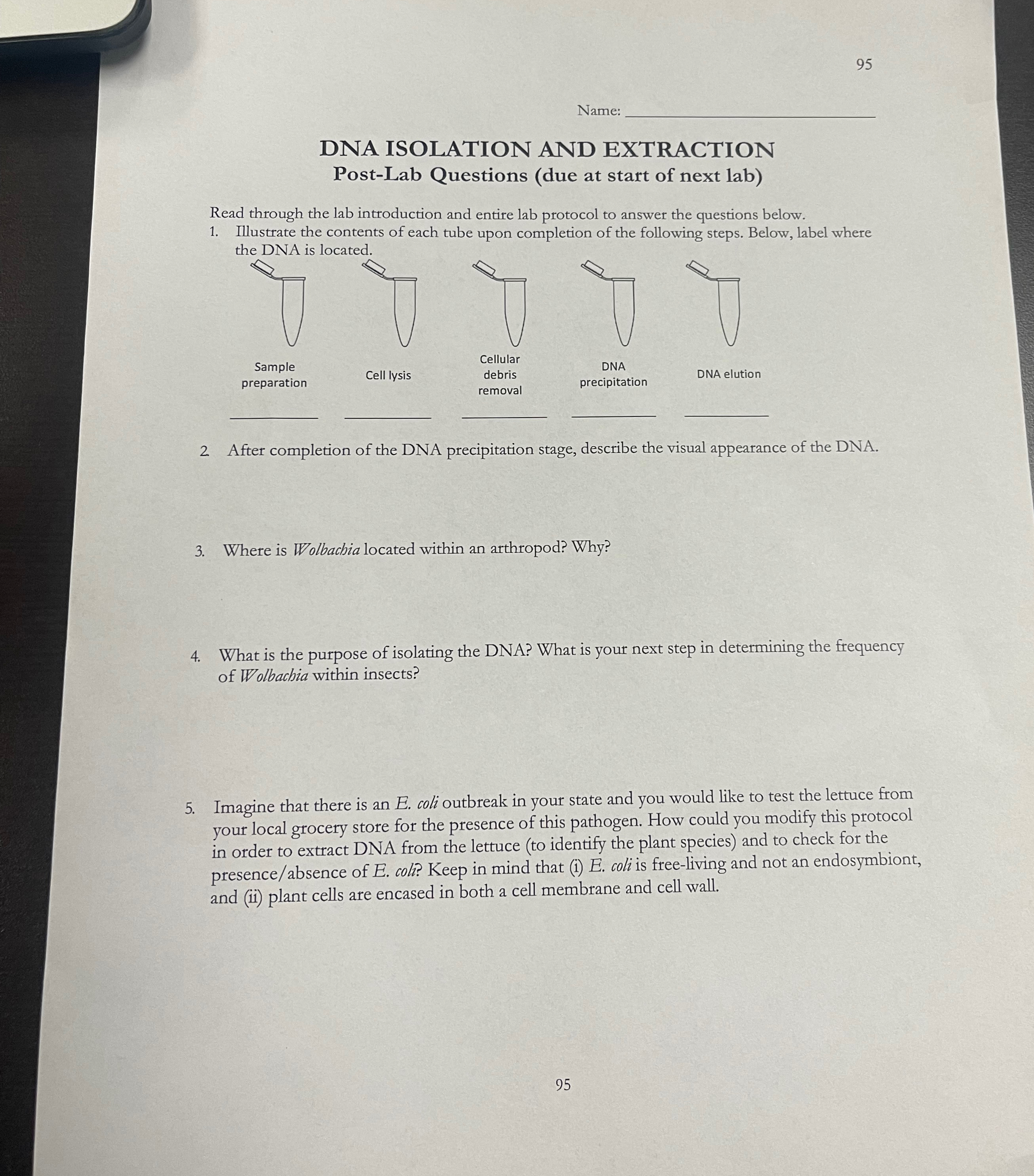 Solved 95NameDNA ISOLATION AND EXTRACTION Post-Lab Questions | Chegg.com