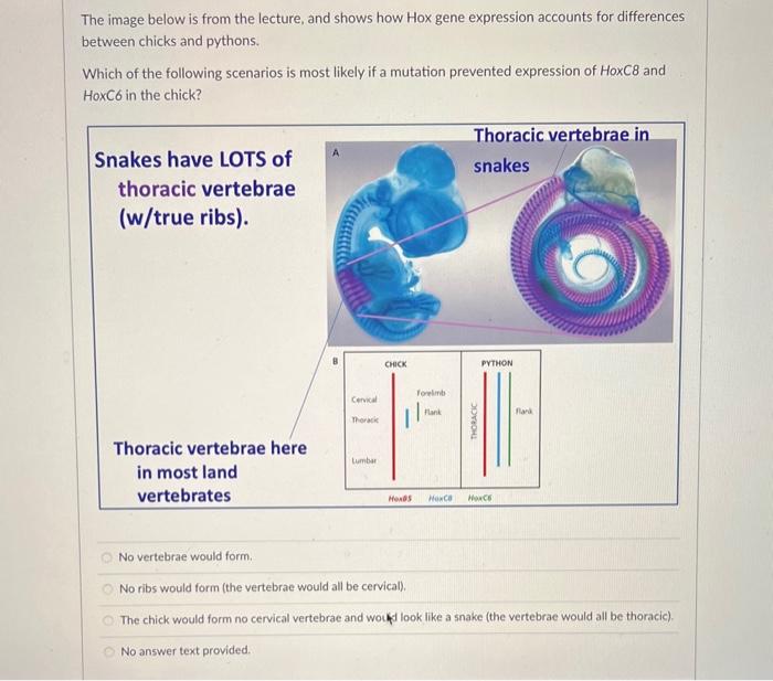 Solved The image below is from the lecture, and shows how | Chegg.com