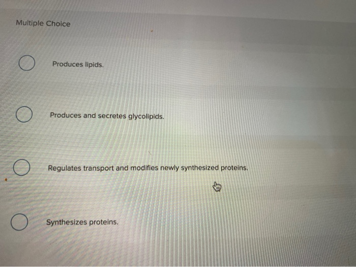 Solved What is the function of the highlighted organelle? | Chegg.com