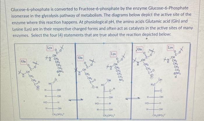 how does glucose-6-phosphate turn into fructose 6 phosphate