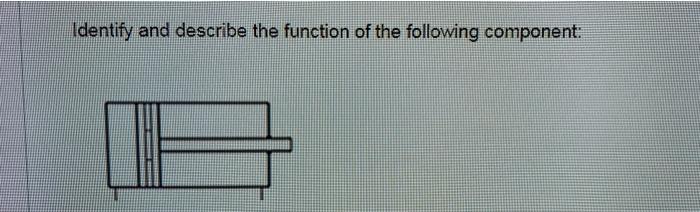Solved Identify and describe the function of the following | Chegg.com