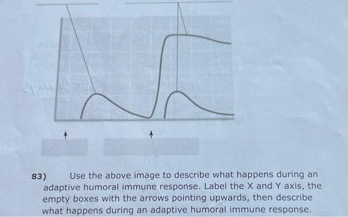 Solved 83) Use the above image to describe what happens | Chegg.com