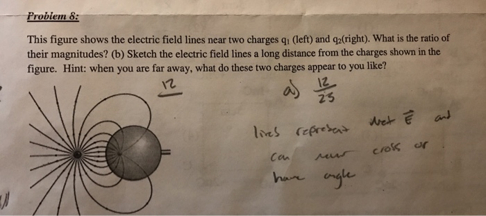 Solved Problem 8: This figure shows the electric field lines | Chegg.com