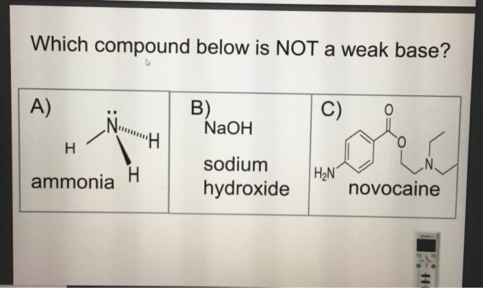 Solved Which Compound Below Is Not A Weak Base A N N Chegg Com