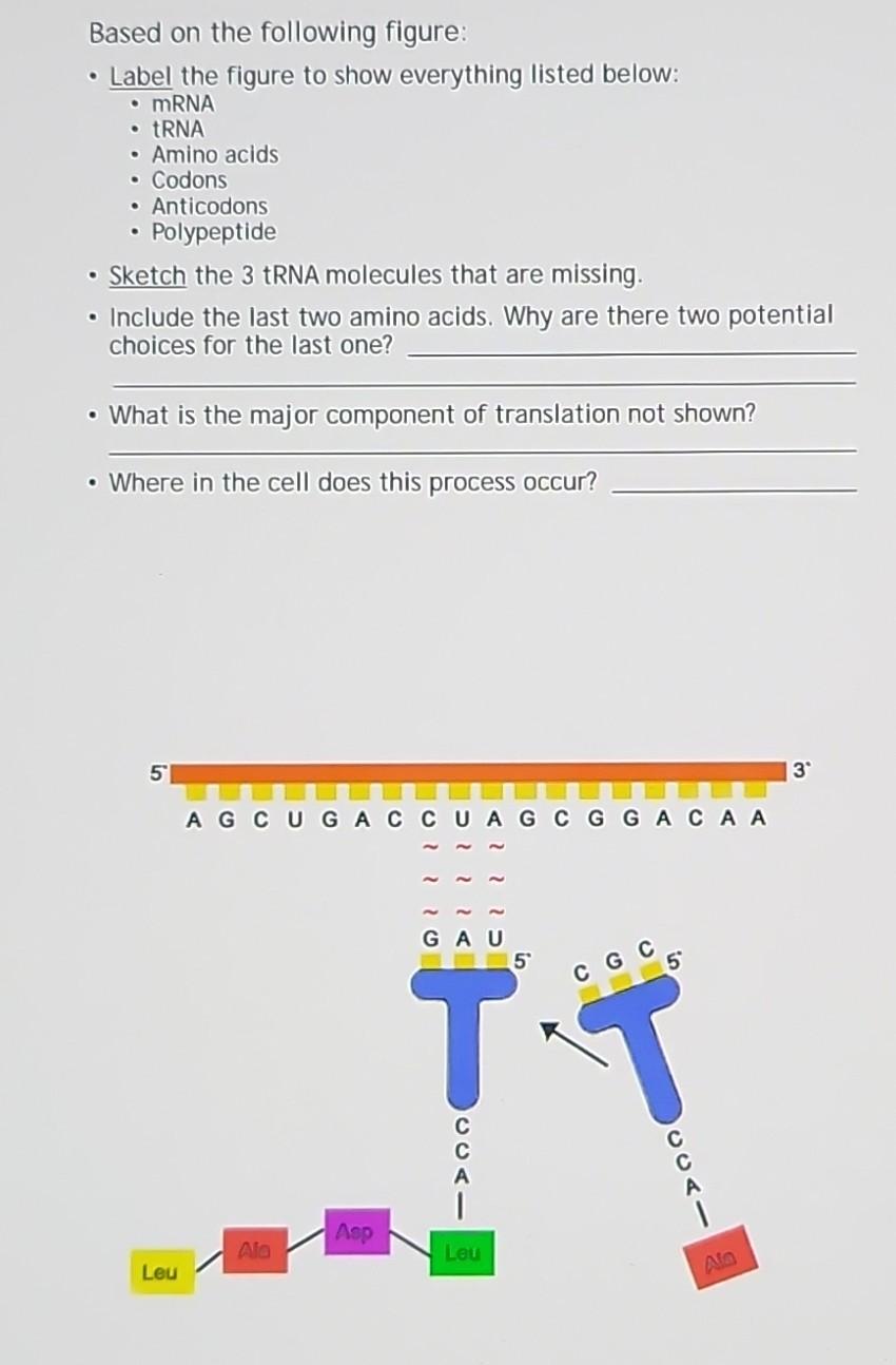 student submitted image, transcription available below