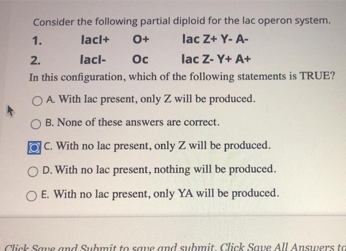 Solved Consider the following partial diploid for the lac | Chegg.com