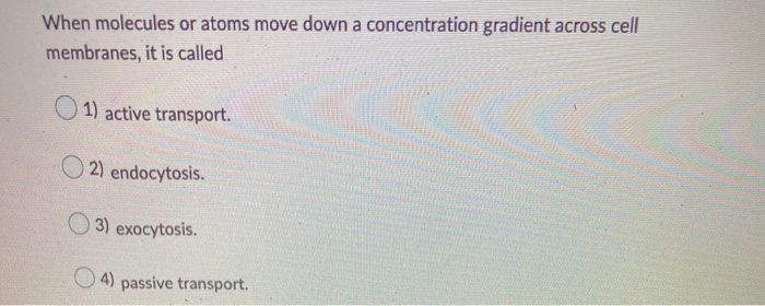 Solved Prokaryotes lack all the following except a (an) 1) | Chegg.com