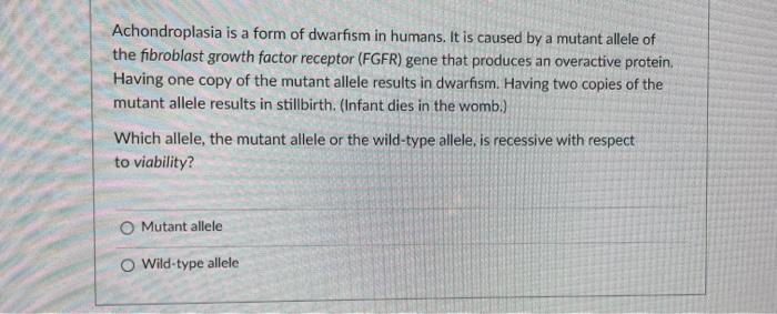 Solved Achondroplasia Is A Form Of Dwarfism In Humans It Is