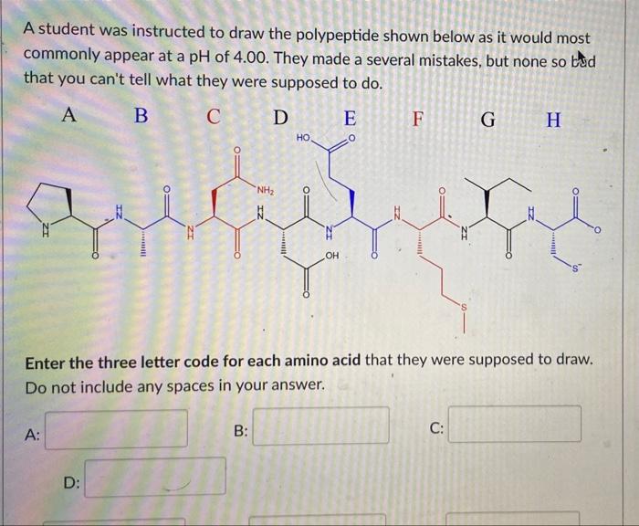 Solved A Student Was Instructed To Draw The Polypeptide | Chegg.com