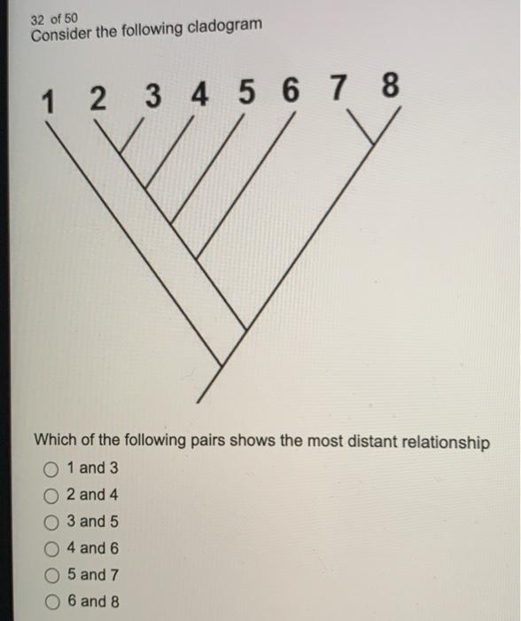 Solved 32 Of 50 Consider The Following Cladogram 1 2 3 4 5 6 | Chegg.com