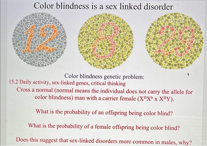 Solved Color Blindness Is A Sex Linked Disorder Color 1023