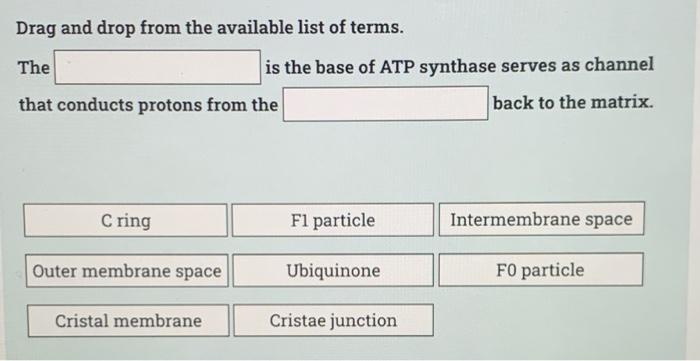 Solved Drag and drop from the available list of terms. | Chegg.com