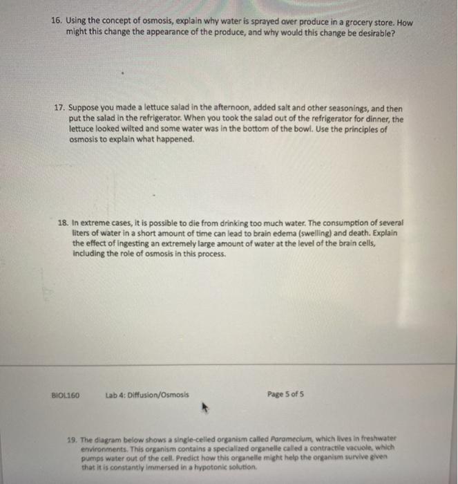 Solved 16. Using the concept of osmosis, explain why water