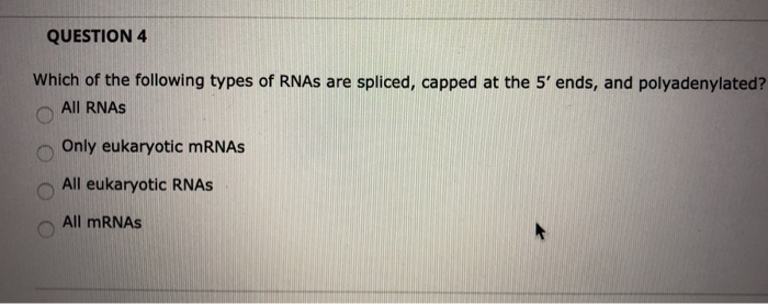 Solved QUESTION 2 Which of the following is true of RNA | Chegg.com