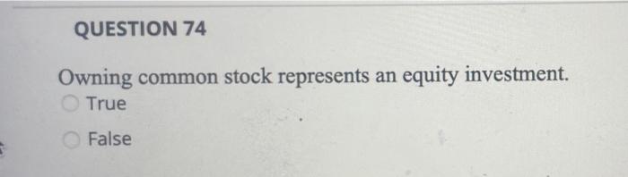 owning common stock represents a debt investment