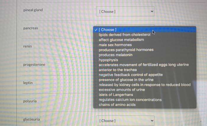 Solved Endocrine System Match Each Term With The Closest Chegg