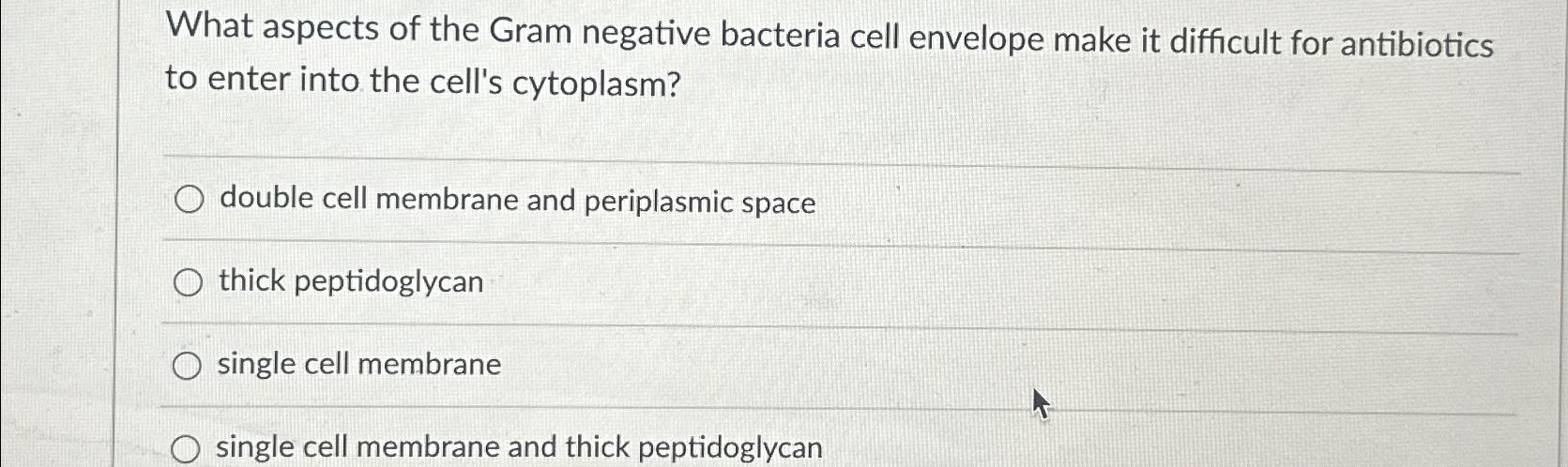 Solved What aspects of the Gram negative bacteria cell | Chegg.com