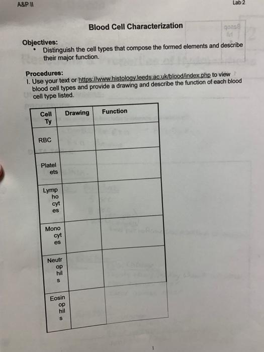 Solved A&P 11 Lab 2 Blood Cell Characterization GOS | Chegg.com