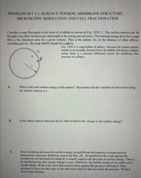 PROBLEM SET 2.1: SURFACE TENSION, MEMBRANE STRUCTURE, MICROSCOPIC RESOLUTION AND CELL FRACTIONATION
Consider a soap film agai