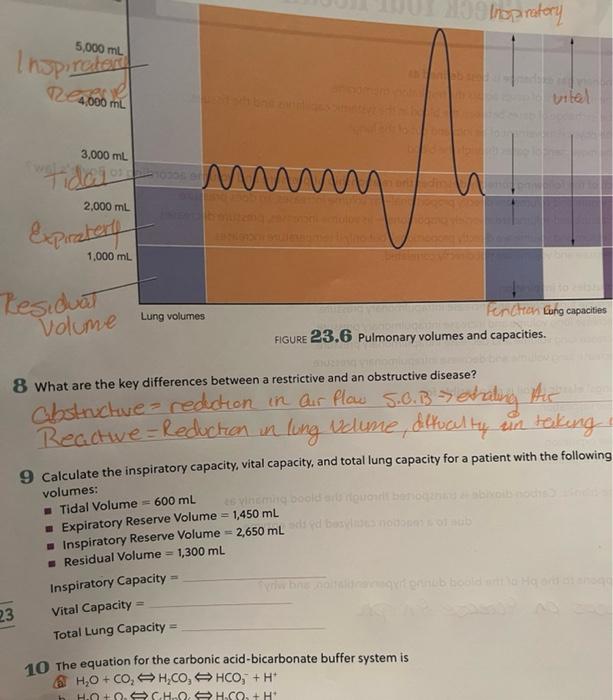 Solved 1 Pulmonary gas exchange is best defined as a. the | Chegg.com